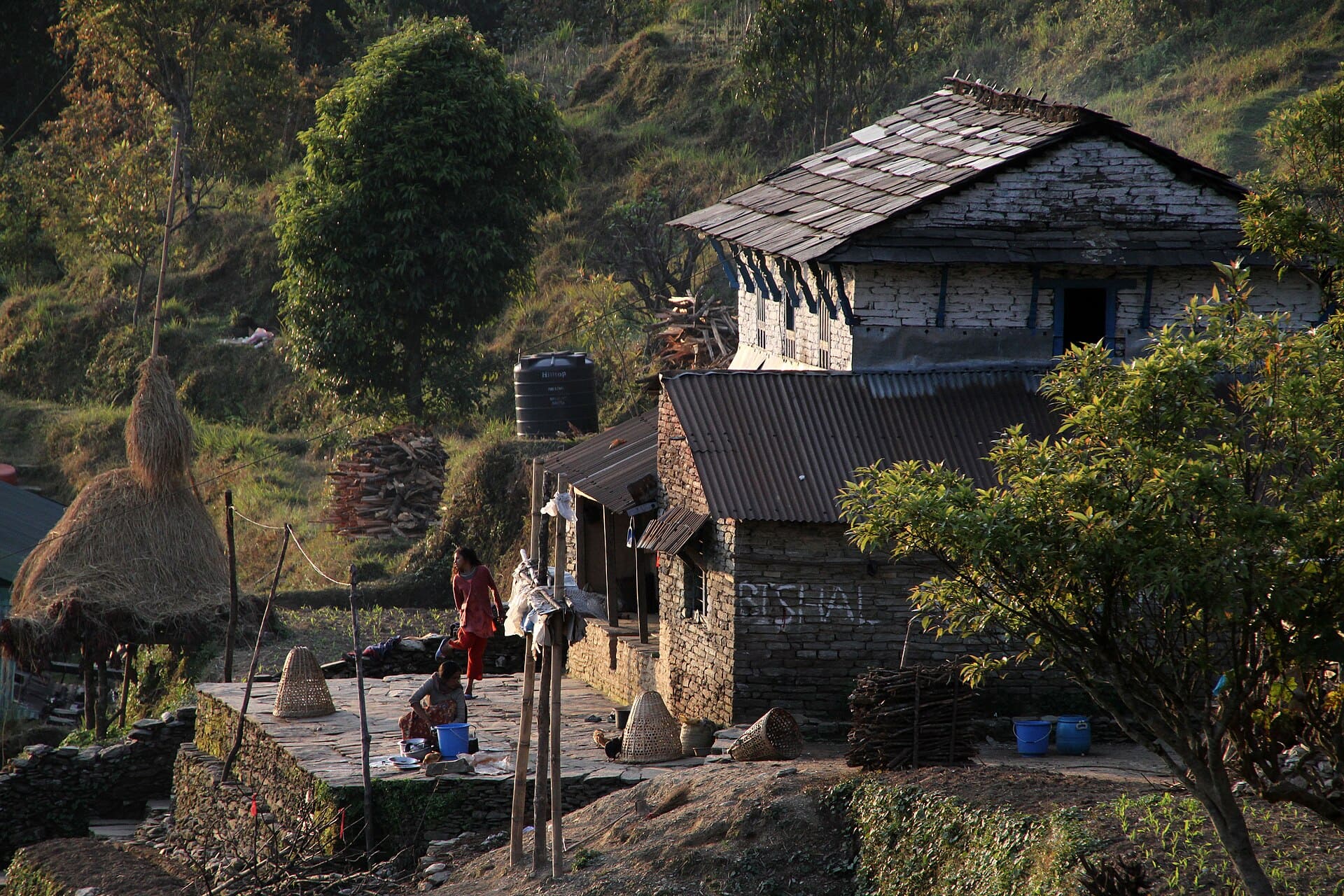 Dhampus Panoramic Homestay
