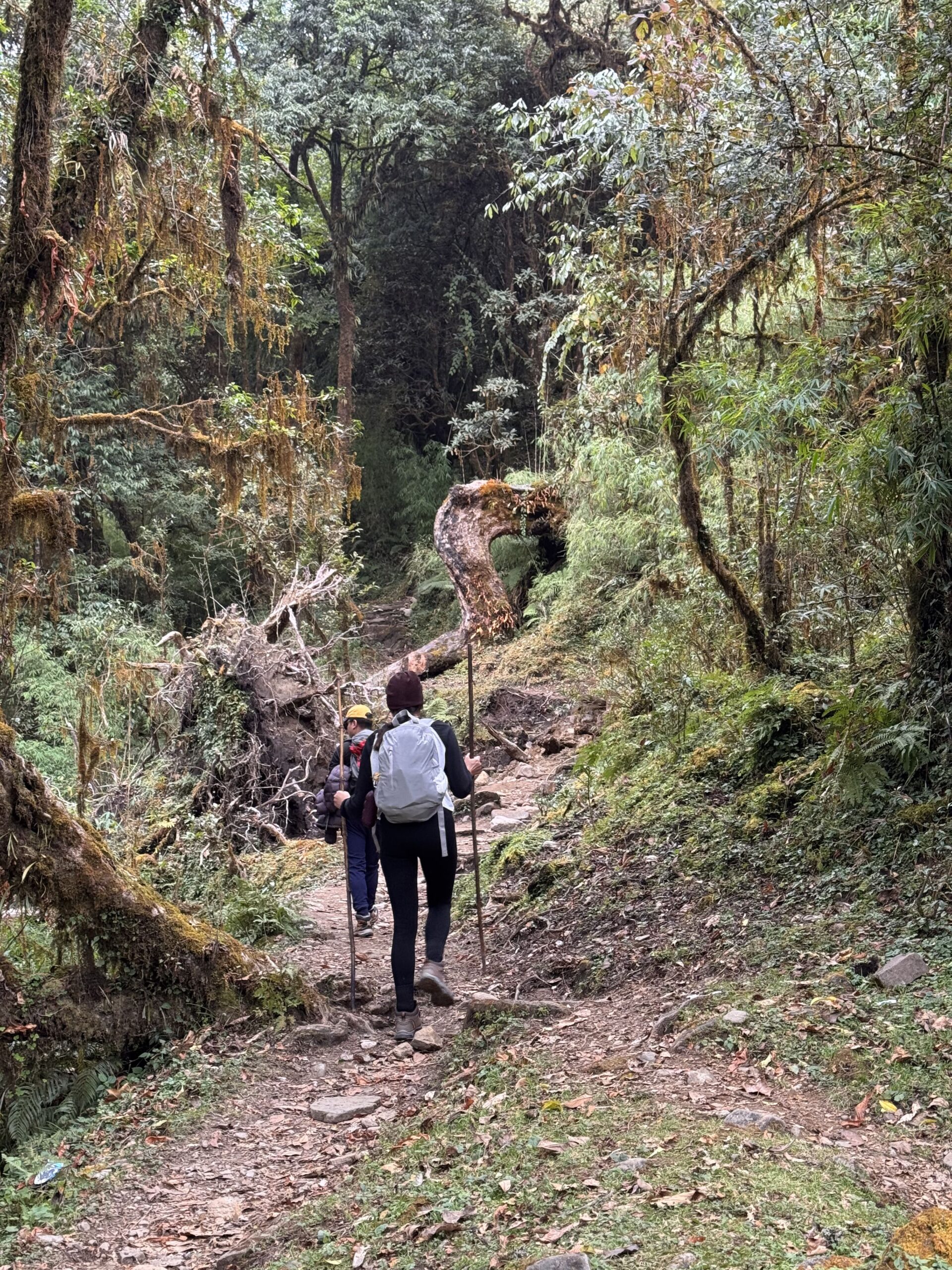 Machhapuchhre Model Trek
