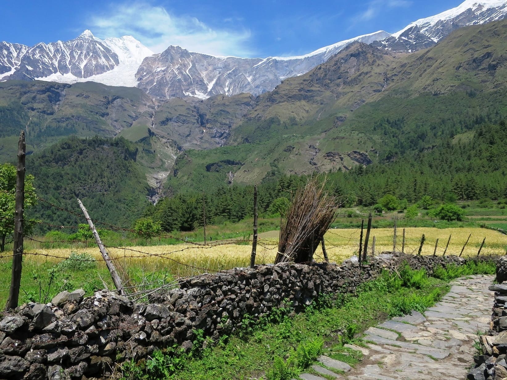 Naurikot Cultural Homestay