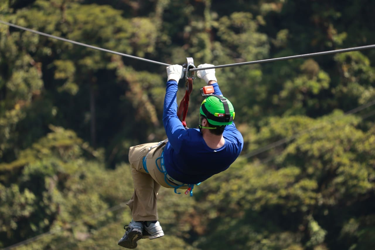 Zip Flyer